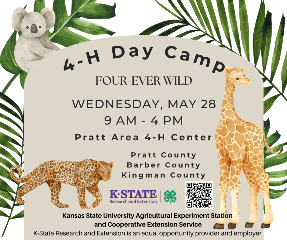 Day Camp Flyer