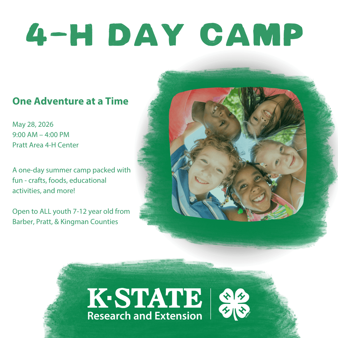Day Camp Flyer
