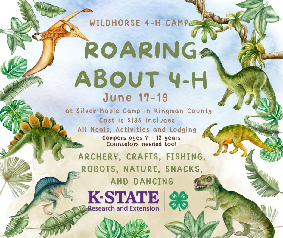 2025 4-H Camp Flyer