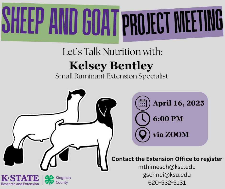 Sheep and Goat Project Meeting