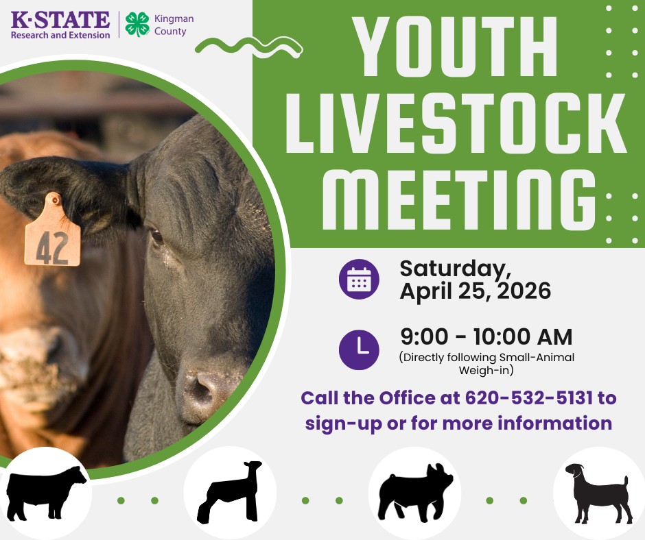 Youth Livestock Meeting Flyer